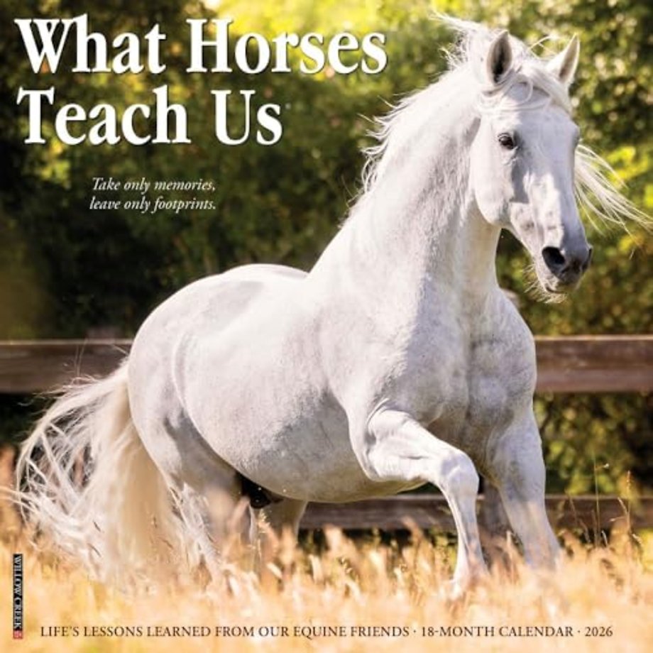 What Horses Teach Us 2026 Wall Calendar