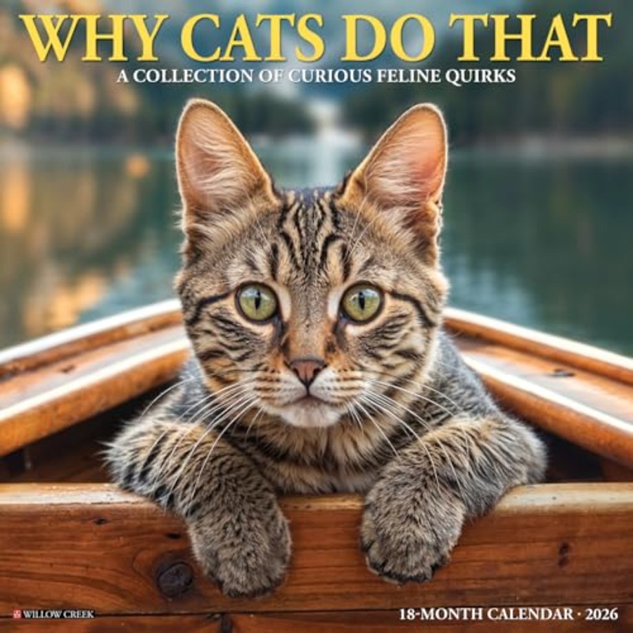 Why Cats Do That 2026 Wall Calendar