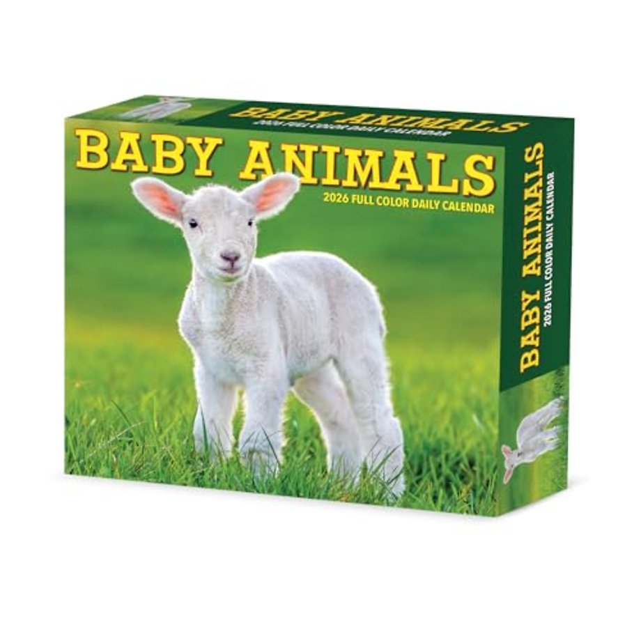 Baby Animals 2026 Box Calendar