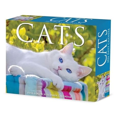 Cats 2026 Box Calendar
