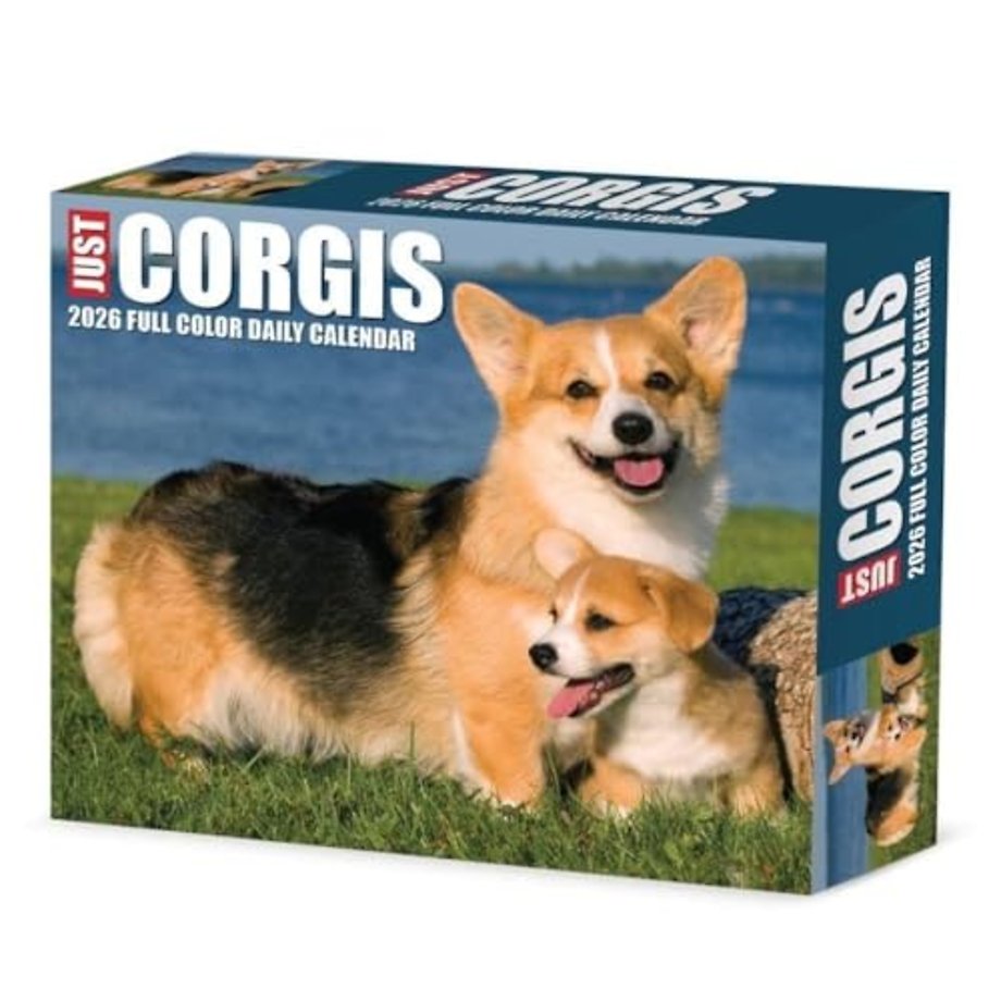 Corgis 2026 Box Calendar