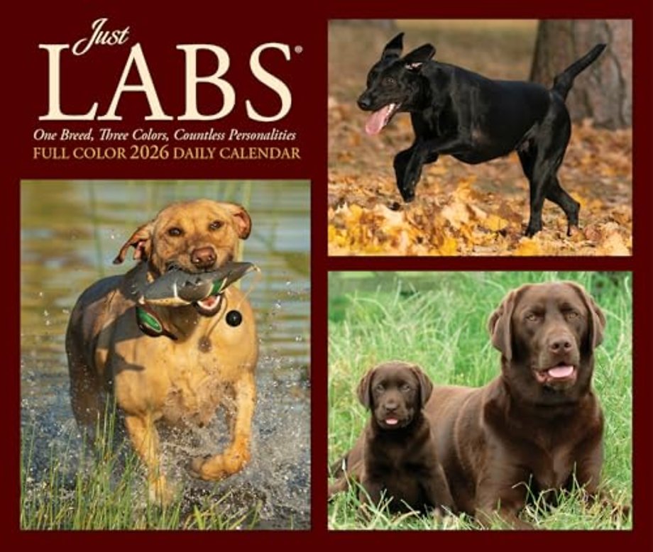 Just Labs 2026 Box Calendar