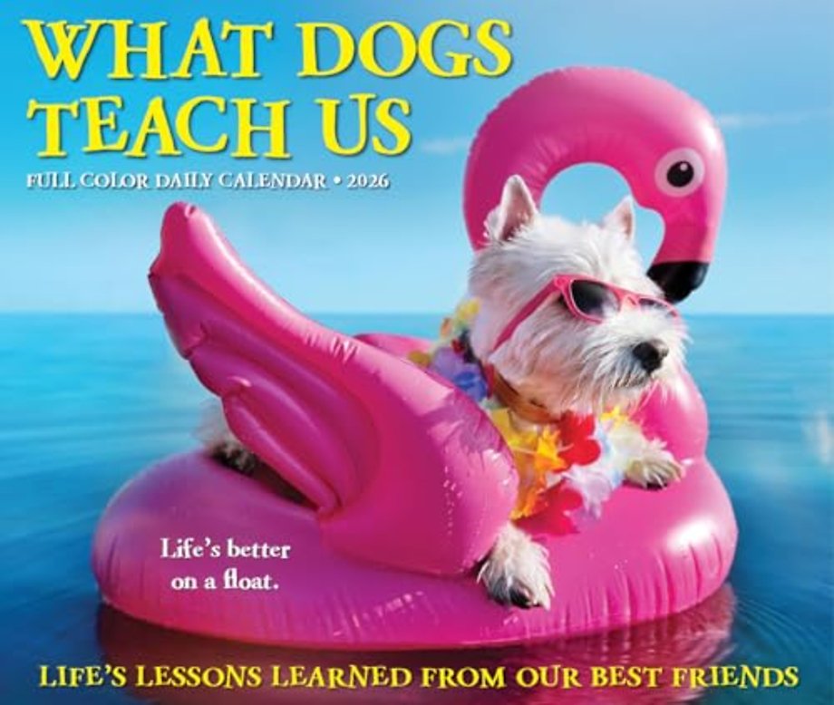 What Dogs Teach Us 2026 Box Calendar
