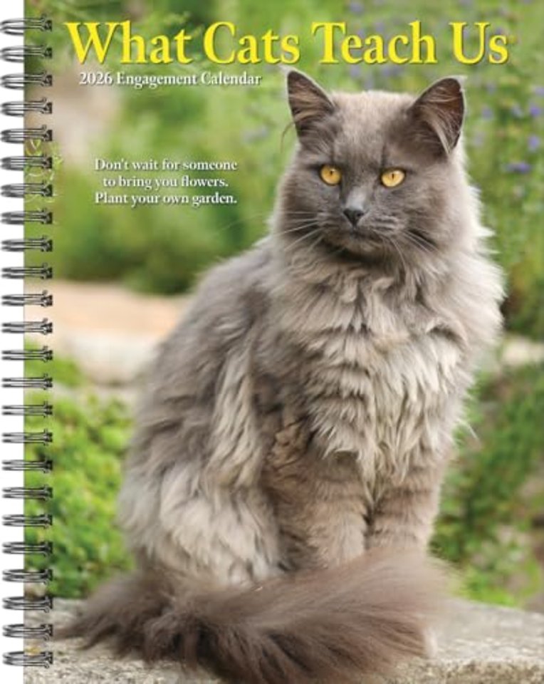 What Cats Teach Us 2026 Engagement Calendar