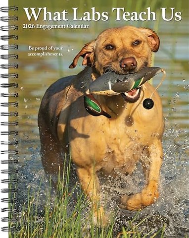 What Labs Teach Us 2026 Engagement Calendar