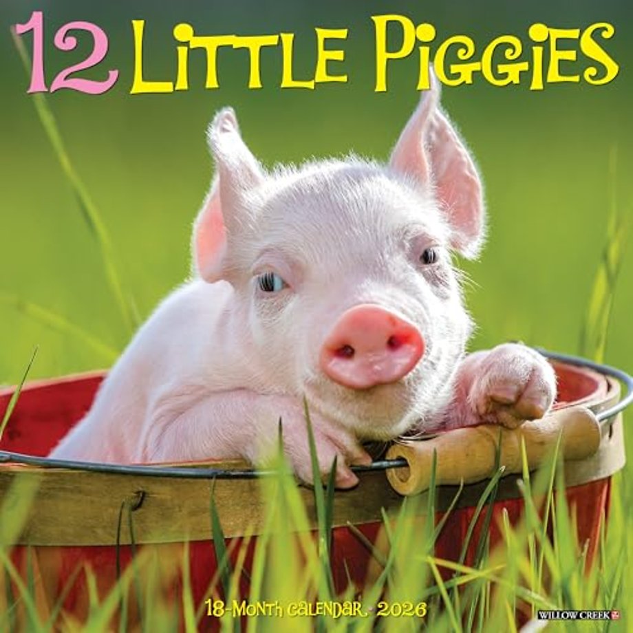 12 Little Piggies 2026 Wall Calendar