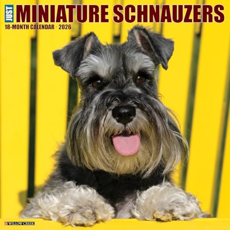 Miniature Schnauzers 2026 Wall Calendar