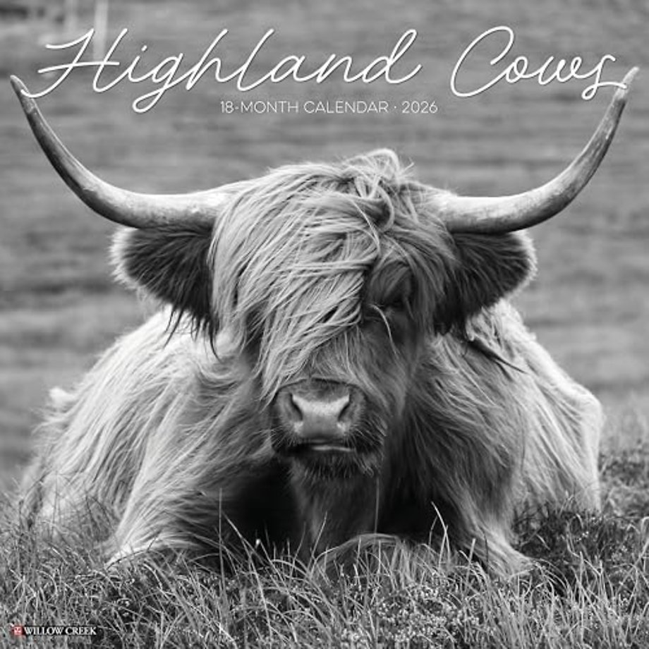 Highland Cows (B&w) 2026 Wall Calendar