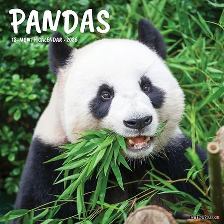 Pandas 2026 Wall Calendar