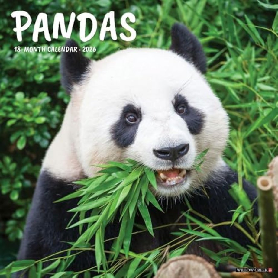 Pandas 2026 Wall Calendar