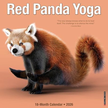 Red Panda Yoga 12 X 12 Wall Calendar