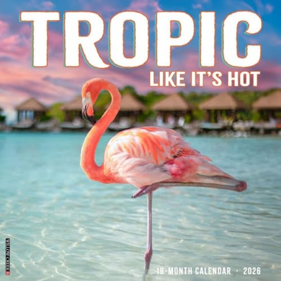 Tropic Like It's Hot 2026 Wall Calendar