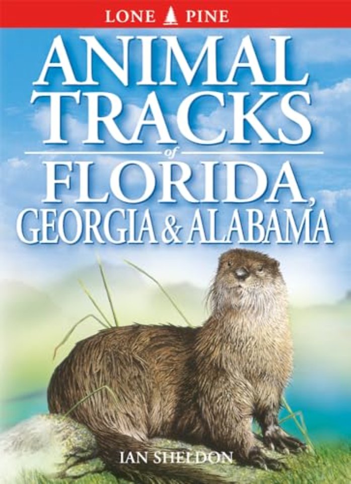 Animal Tracks of Florida, Georgia and Alabama