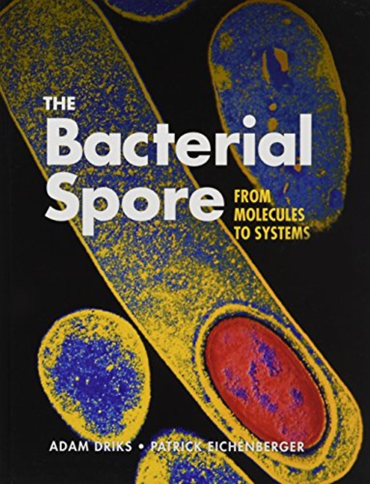 The Bacterial Spore