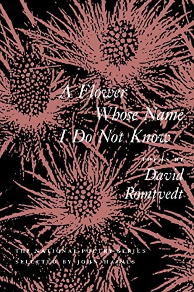 A Flower Whose Name I Do Not Know