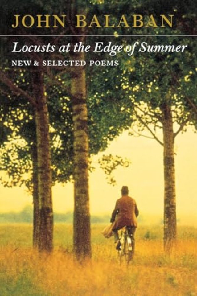 Locusts at the Edge of Summer