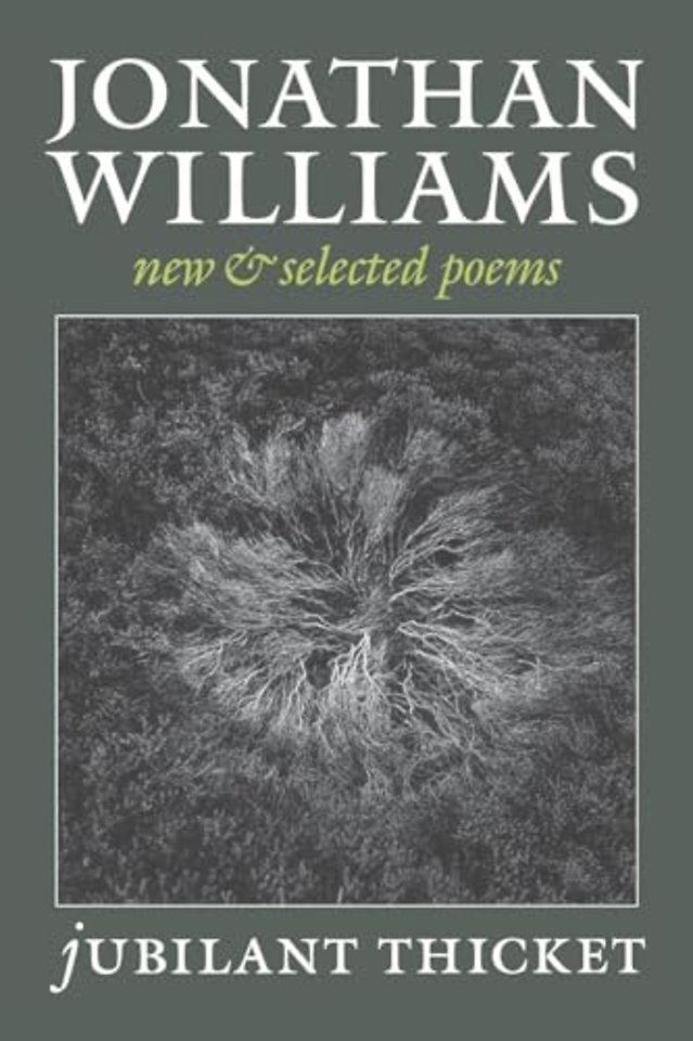 Jubilant Thicket
