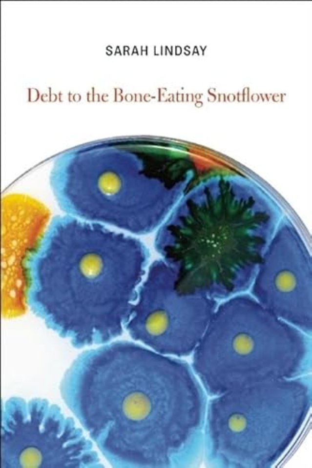 Debt to the Bone-Eating Snotflower