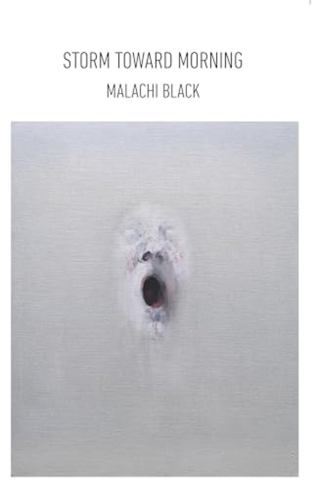 Storm Toward Morning