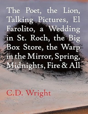 The Poet, The Lion, Talking Pictures, El Farolito, A Wedding in St. Roch, The Big Box Store, The Warp in the Mirror, Spring, Midnights, Fire & All