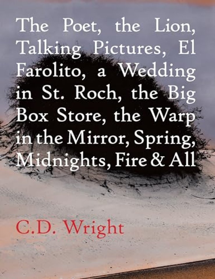 The Poet, The Lion, Talking Pictures, El Farolito, A Wedding in St. Roch, The Big Box Store, The Warp in the Mirror, Spring, Midnights, Fire & All