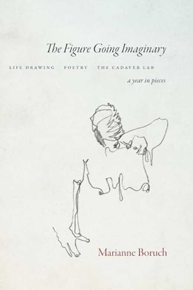 The Figure Going Imaginary