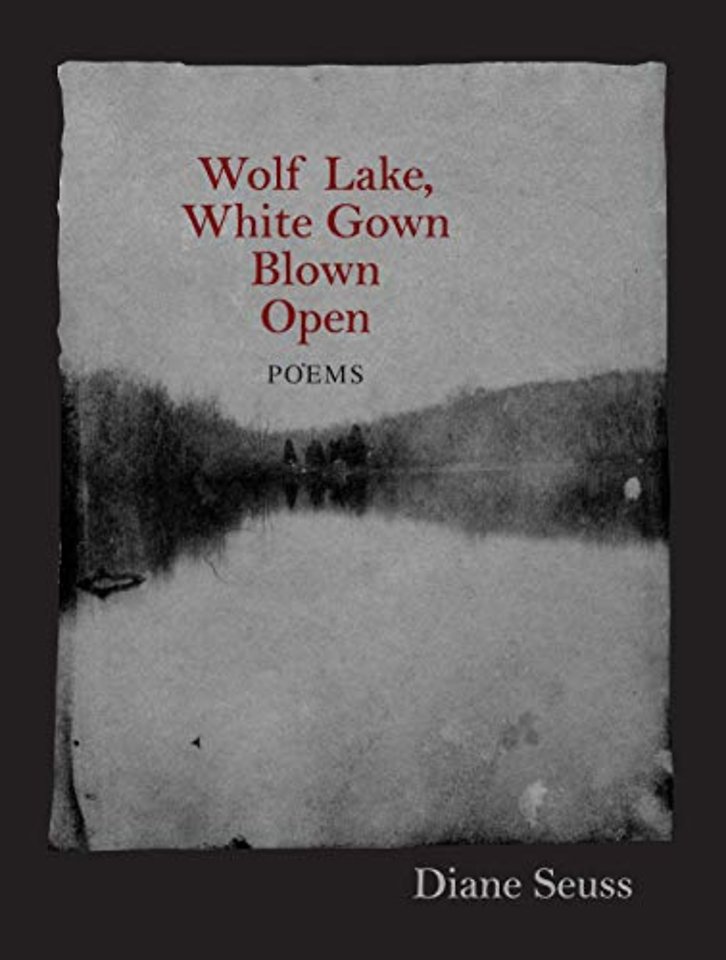 Wolf Lake, White Gown Blown Open – Poems