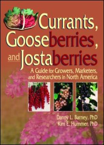 Currants, Gooseberries, and Jostaberries