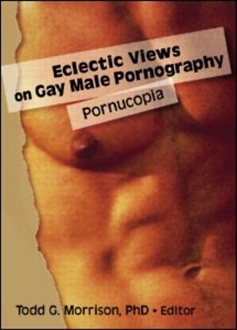 Eclectic Views on Gay Male Pornography