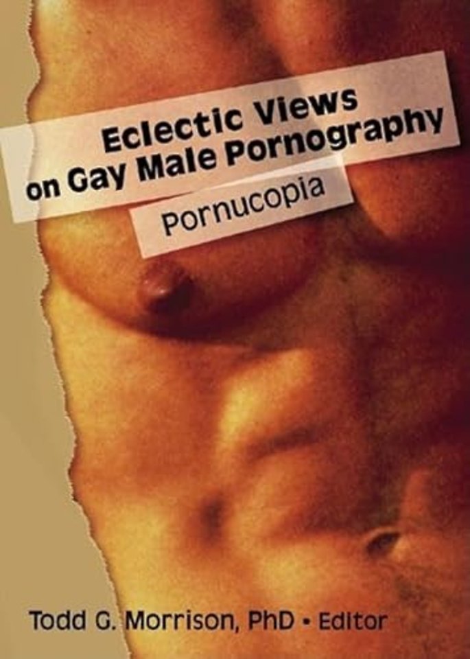 Eclectic Views on Gay Male Pornography