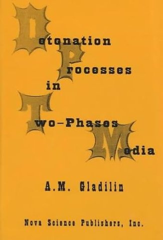 Detonation Process in Two-Phase Media