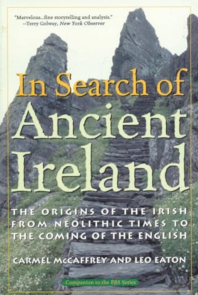 In Search of Ancient Ireland