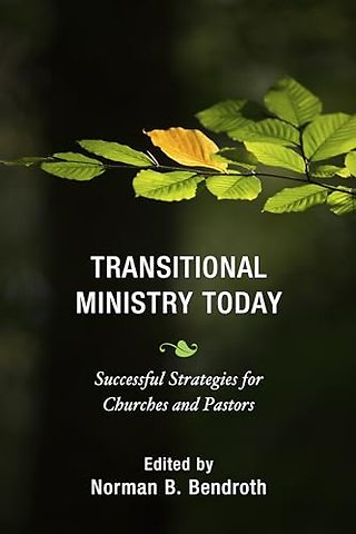 Transitional Ministry Today