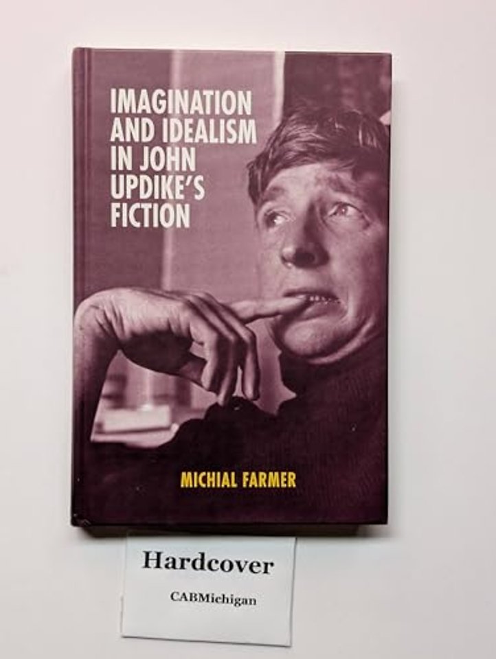 Imagination and Idealism in John Updike's Fiction