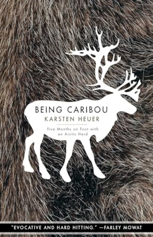 Being Caribou