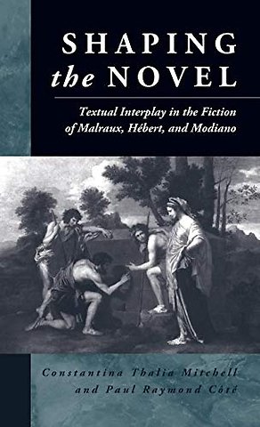 Shaping the Novel