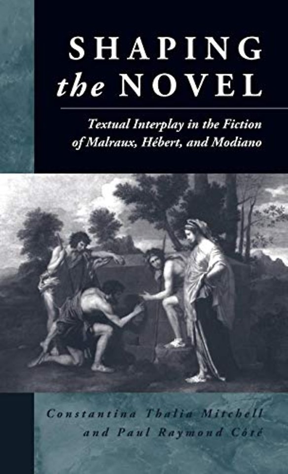Shaping the Novel