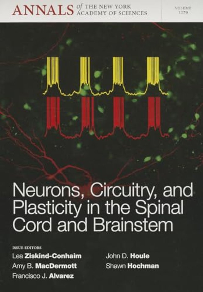 Neurons, Circuitry, and Plasticity in the Spinal Cord and Brainstem