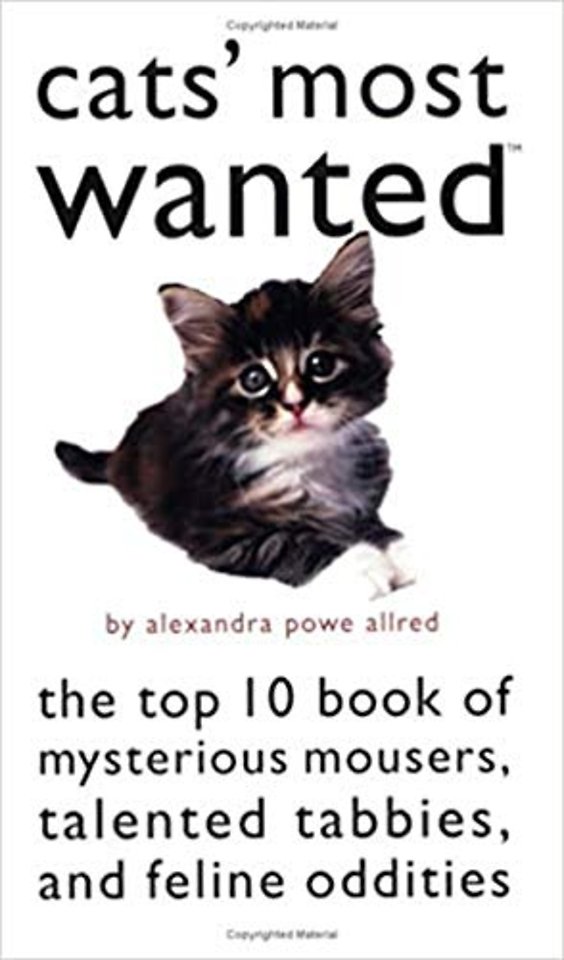 Cats′ Most Wanted