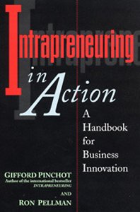Intrapreneuring In Action A Handbook For Business Innovation Model