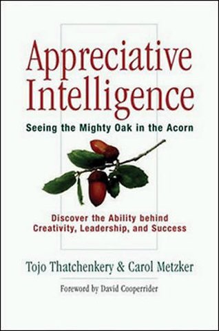 Appreciative Intelligence