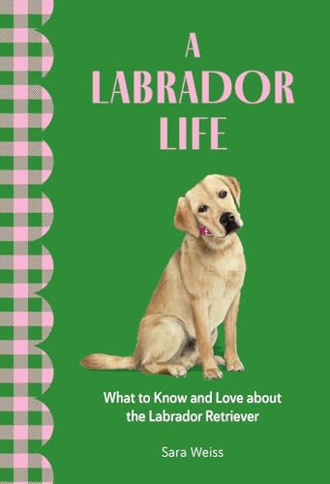 A Labrador Life