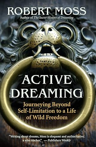 Active Dreaming