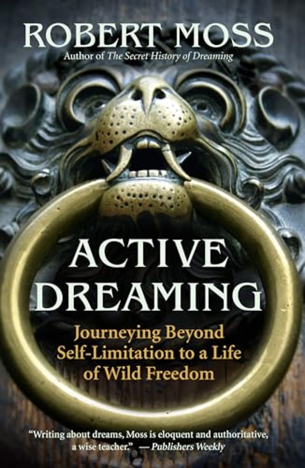 Active Dreaming
