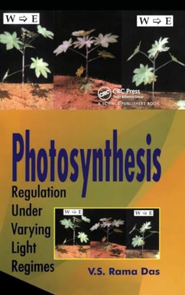 Photosynthesis
