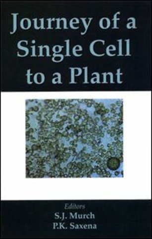 Journey of a Single Cell to a Plant