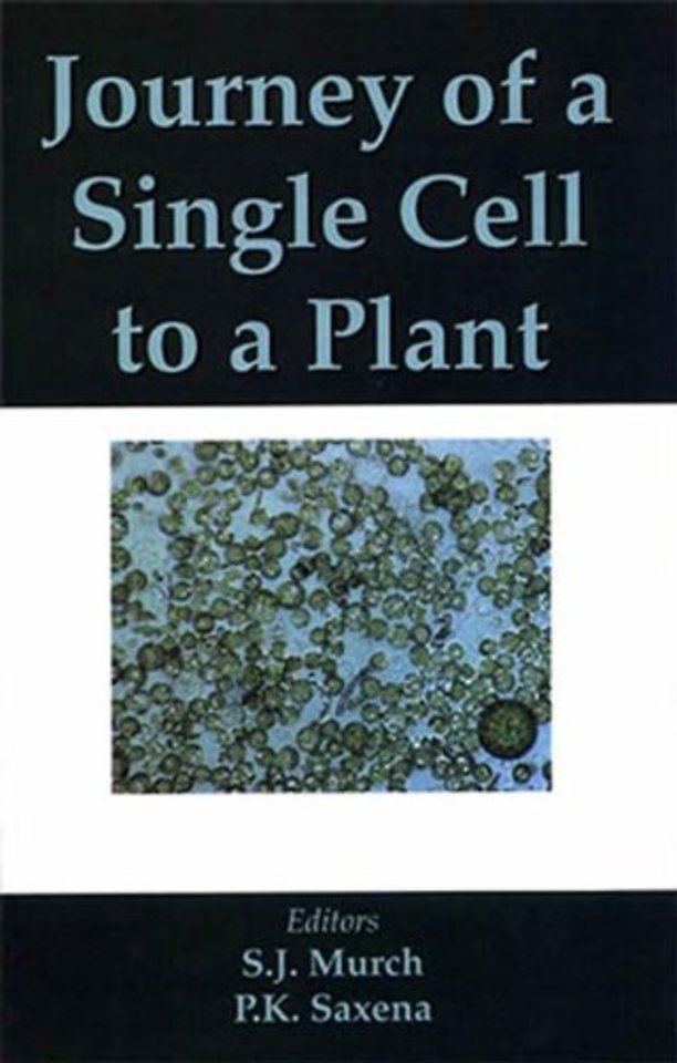 Journey of a Single Cell to a Plant
