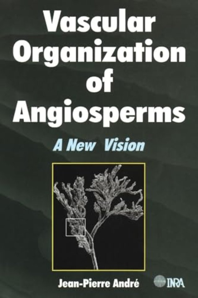 Vascular Organization of Angiosperms