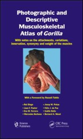Photographic and Descriptive Musculoskeletal Atlas of Gorilla