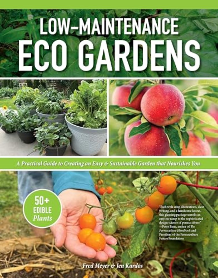 Low-Maintenance Eco Gardens